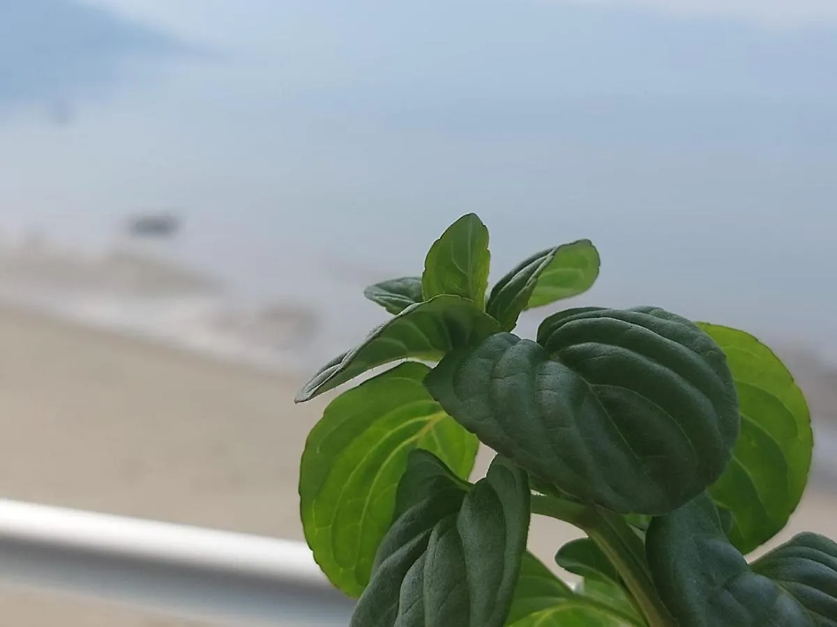公寓 VlorëGrace公寓